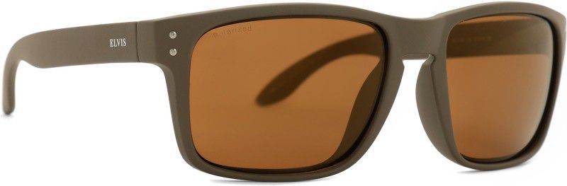 Polarized Wayfarer Sunglasses (57)  (For Men & Women, Brown)
