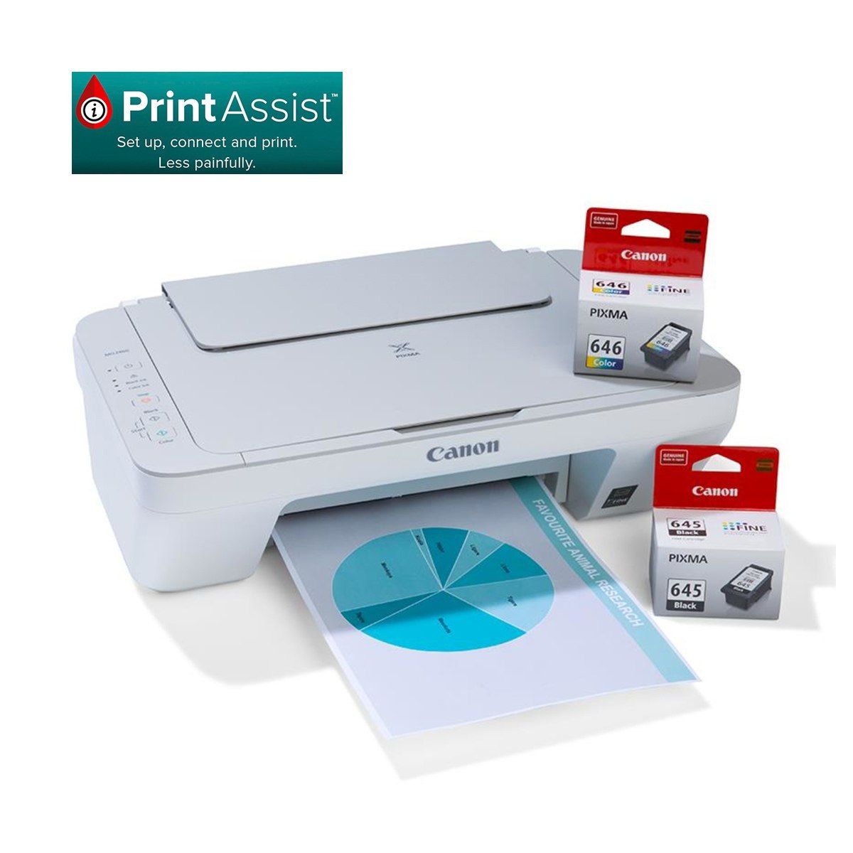 Canon MG2460 Printer