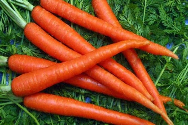 All Season Red Carrot Seeds (seeds) - 50 Pcs Seeds