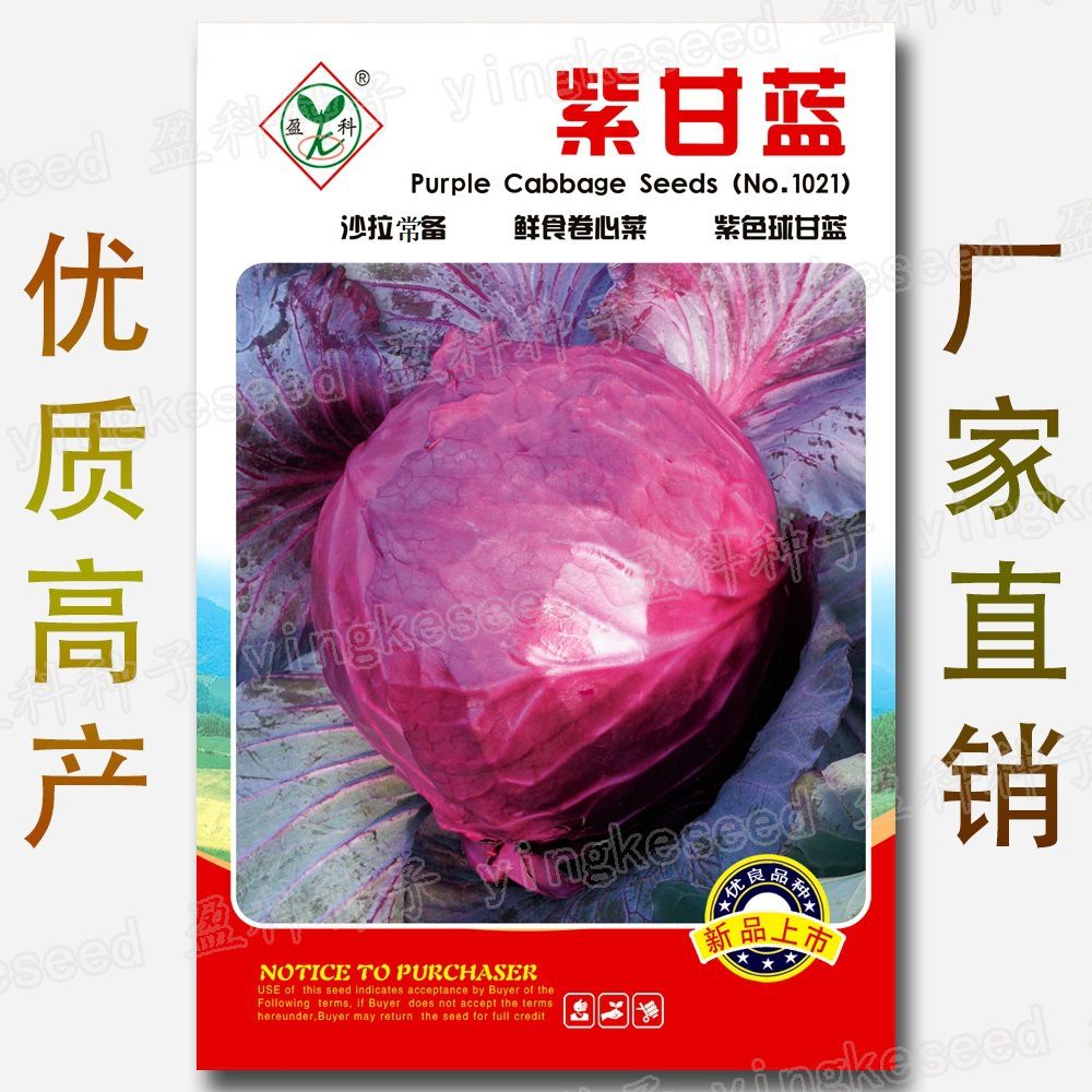 Cabbage ( Purple) Seeds 1 Packet