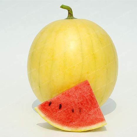10 Pcs Small Yellow watermelon Bonsai SeedS