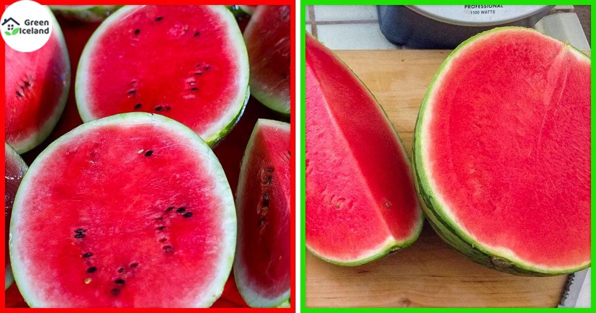 10 Pcs Global Sweet Watermelon Seeds (????? ???)