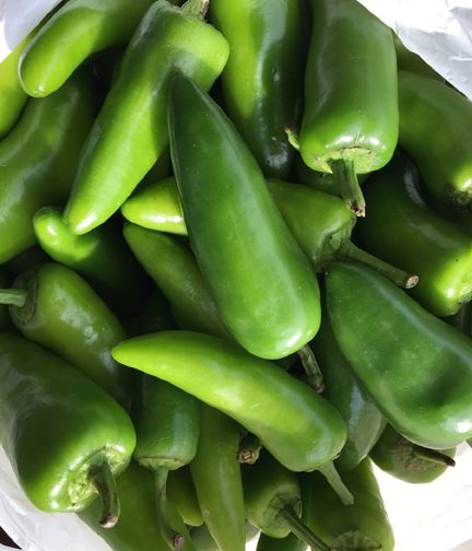 Bonkim Indian Bullet Chilli Seeds For Plants and Tob/Terrace -50 Pieces