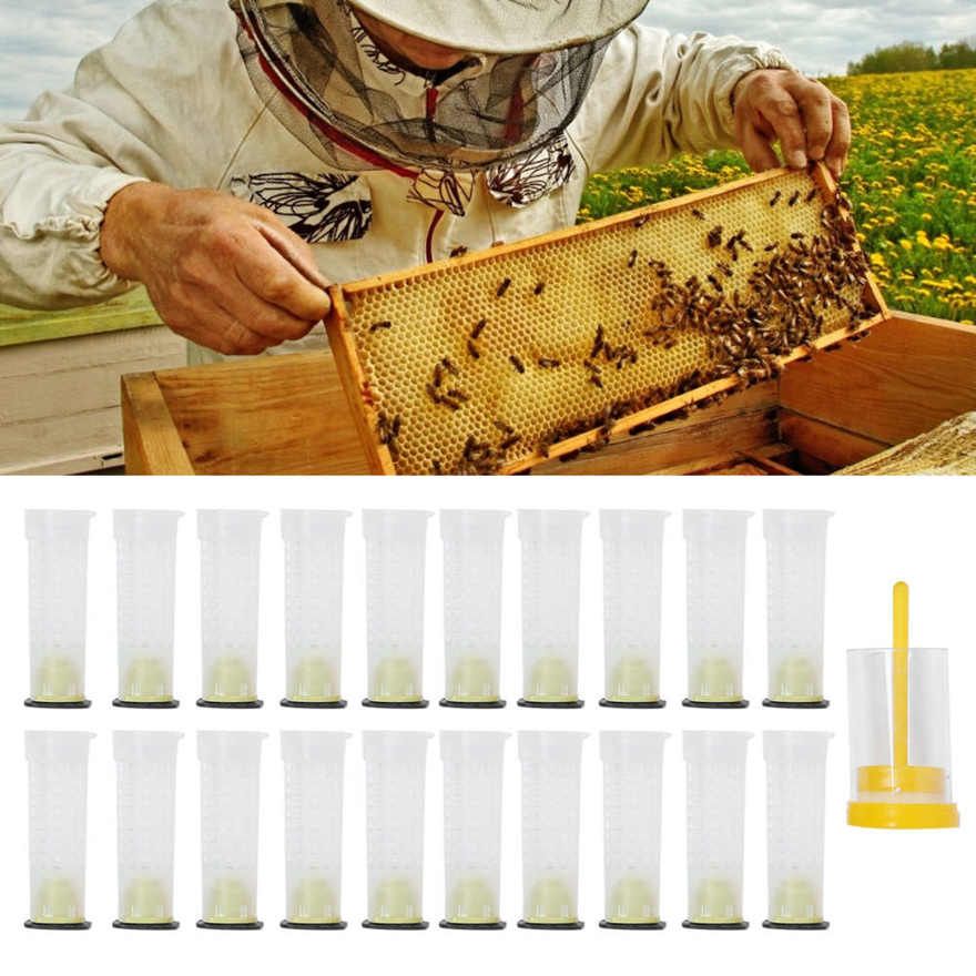 Bee Roller Cage Plastic Rearing Cup Marking Bottle Beekeeping Supplies