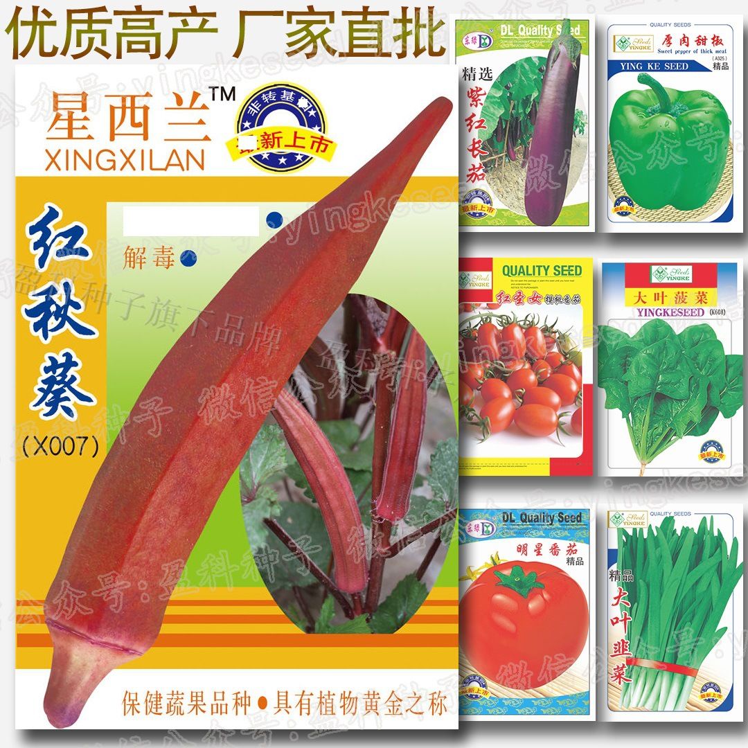Lady's Finger( Red ) 1 packet