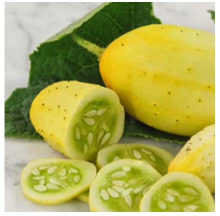 Mexican Sour Gherkin Seeds Cucumber Vegetable (বীজ)