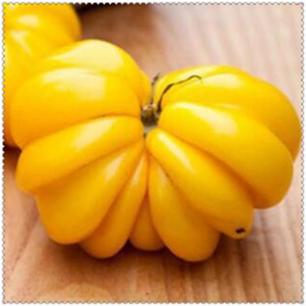 Tomato Plants Seeds Organic Heirloom Plants Vegetables Seeds Perennial  (বীজ)