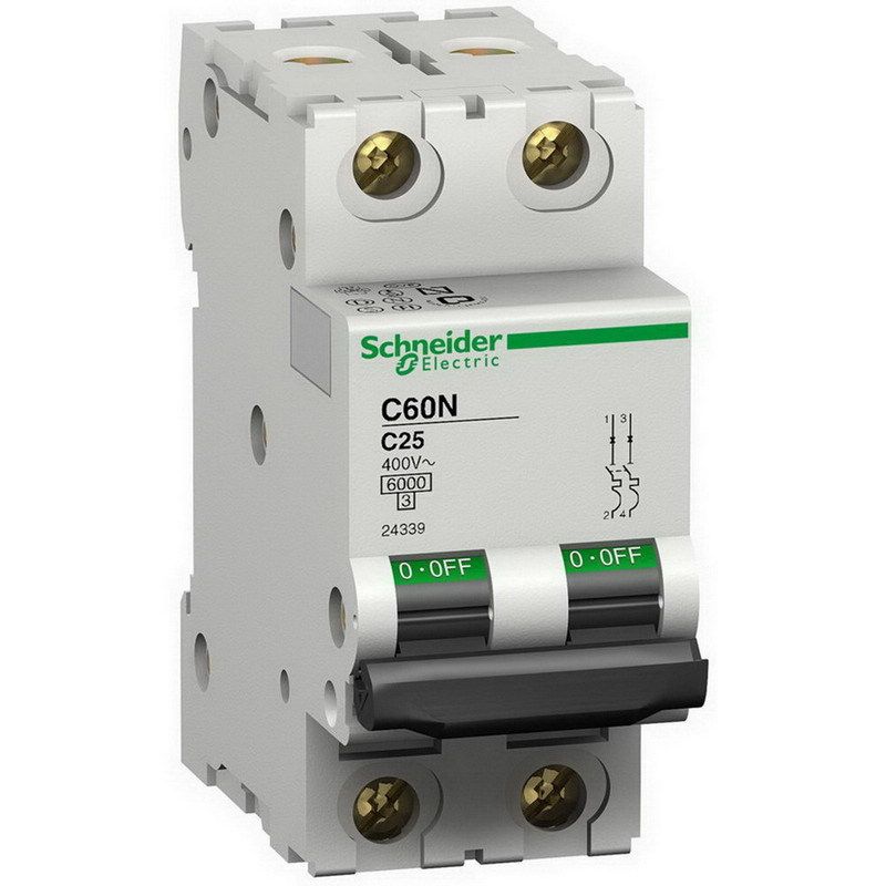 Schneider MCB DP Circuit Breakers 63A-India