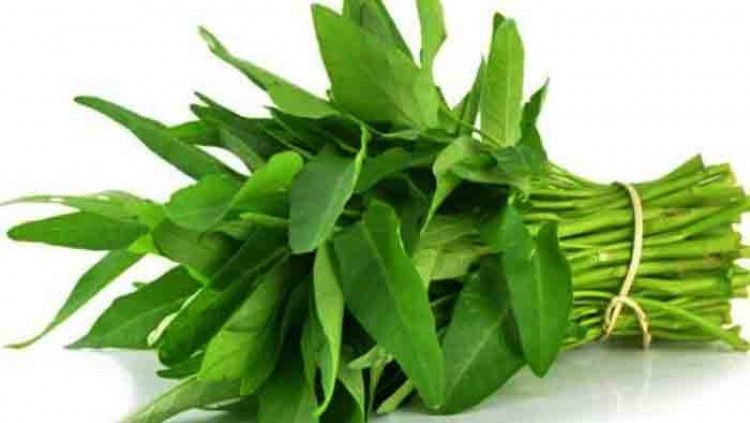 Kangkong Water Spinach 10+Pcs seeds (কলমী শাকের বীজ)