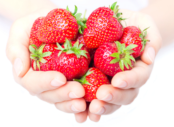 All Season Red Strawberry Seeds - 20 Pcs Seeds