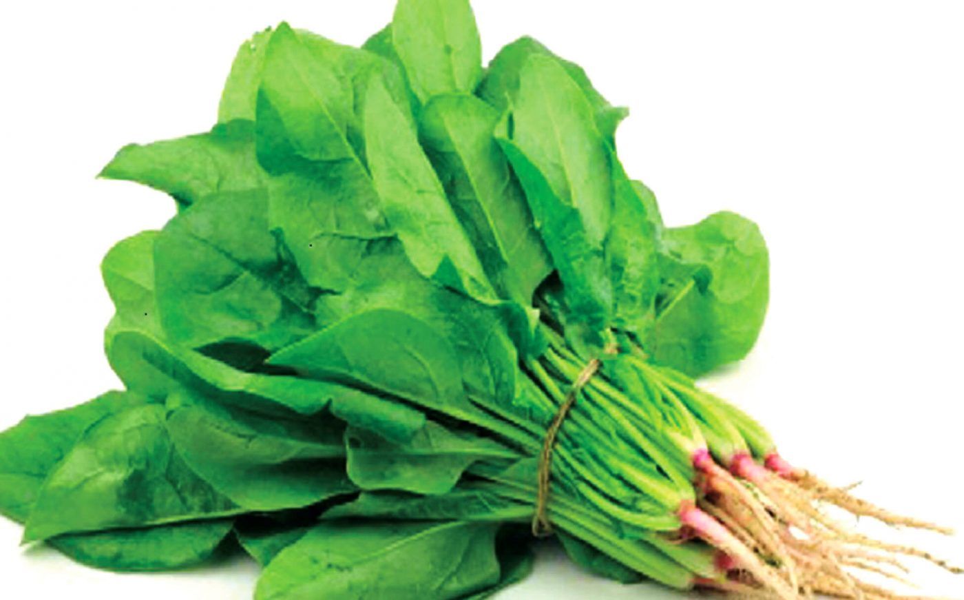 Spinach / Palong Shak Seeds (???? ??? ???) - 100 Pcs Seeds