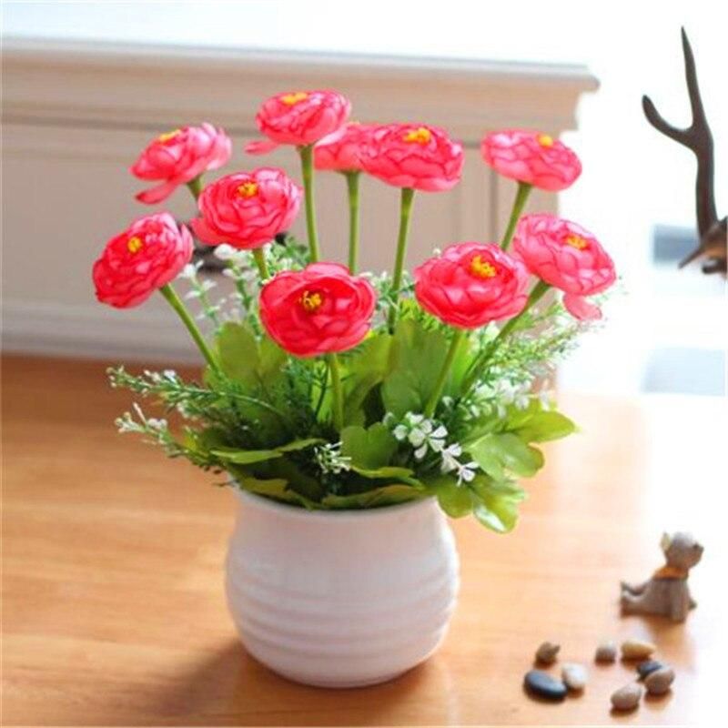 bonsai flower lotus flower for summer  real Bowl lotus pots Bonsai garden plants & seeds