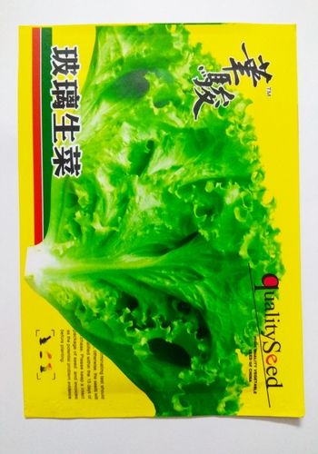 GLASS LETTUCE, CHINA INTAKE PACKET - 5 GRAMS (ABOUT 4000 SEEDS)