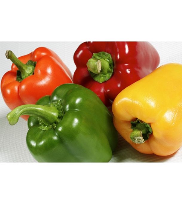 Hybrid Capsicum Seeds Intact packet
