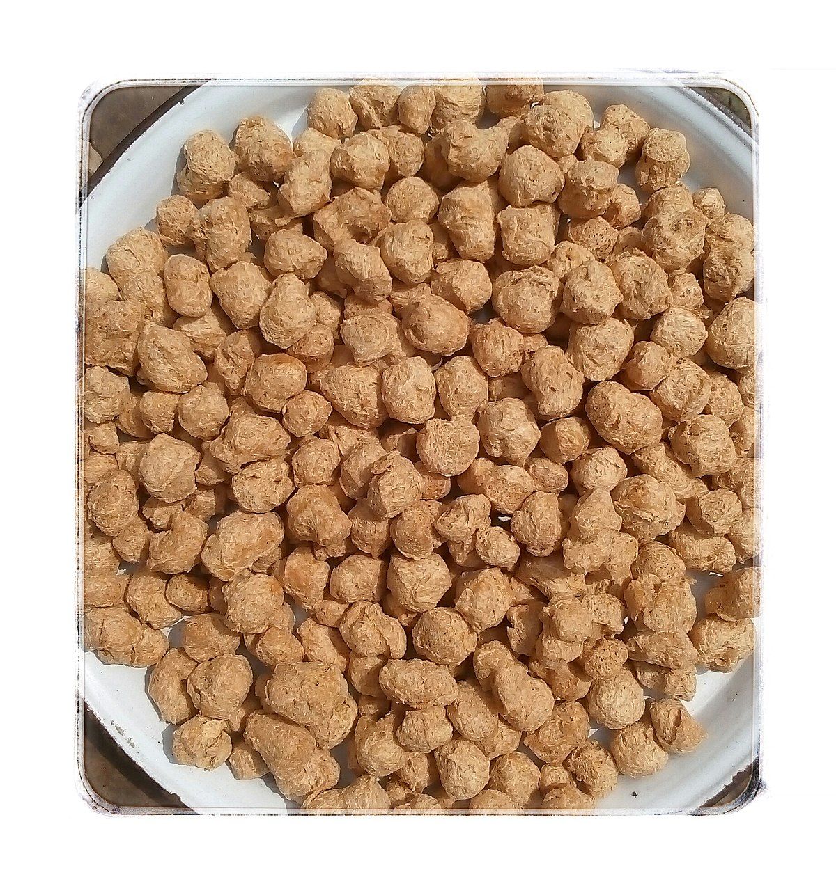 Soybean Tree Seeds (সয়াবিন বীজ) - 20 Pcs Seeds