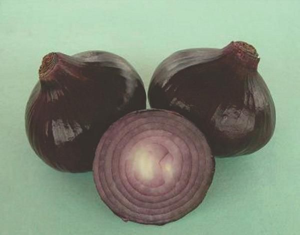 All seasons Red Onion Seeds - 100 Pcs seeds