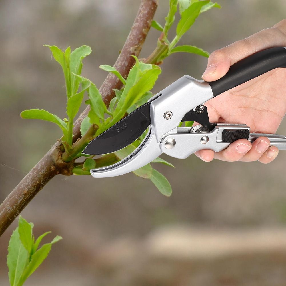 Professional Steel Bonsai Grafting Cutter Scissors Pruning Shears Fruit ND