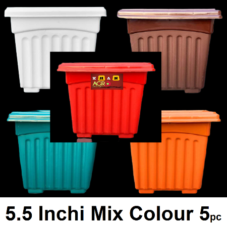 Flower tob-5.5Inchi Square tob Mix Colour 5 pcs