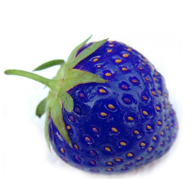 200Pcs Blue Strawberry Rare Fruit Vegetable Seeds Bonsai Edible Garden Climbing Plant
