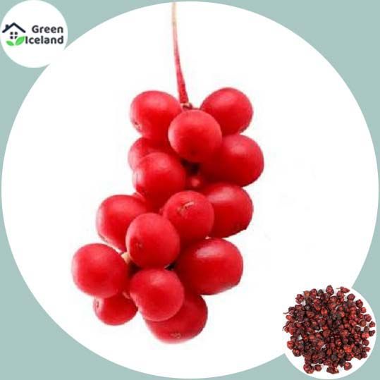 20 Pcs Natural Schisandra Chinese Magnolia Fruit Tree Seeds