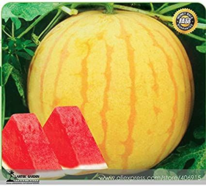 10 Pcs Natural Small Yellow watermelon Fruit Bonsai Seeds