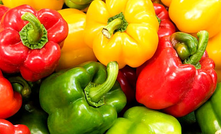 20 Pcs Global Multi Colour Capsicum Seeds (ক্যাপসিকাম বীজ)