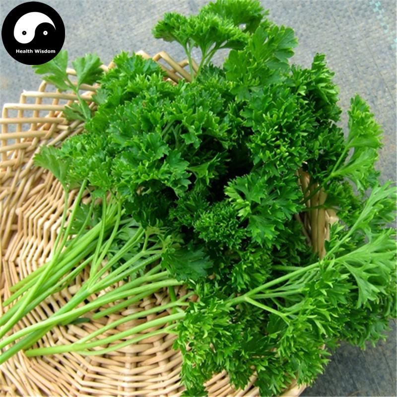 Europe Celery Semente 200pcs Plant Spices Vegetables Petroselinum Crispum