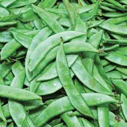 All Season Hybrid Bean Seeds-20 Pcs Seeds