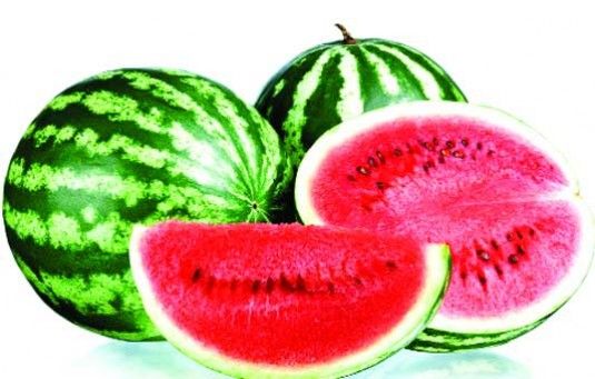 10 Pcs Global Sweet Watermelon Seeds (তরমুজ বীজ)