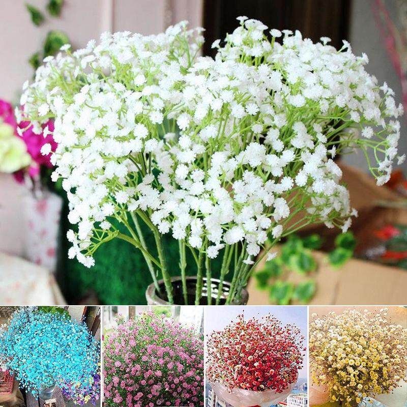 Gypsophila Mix Flower Seeds (Seeds) - 100 Pcs Seeds