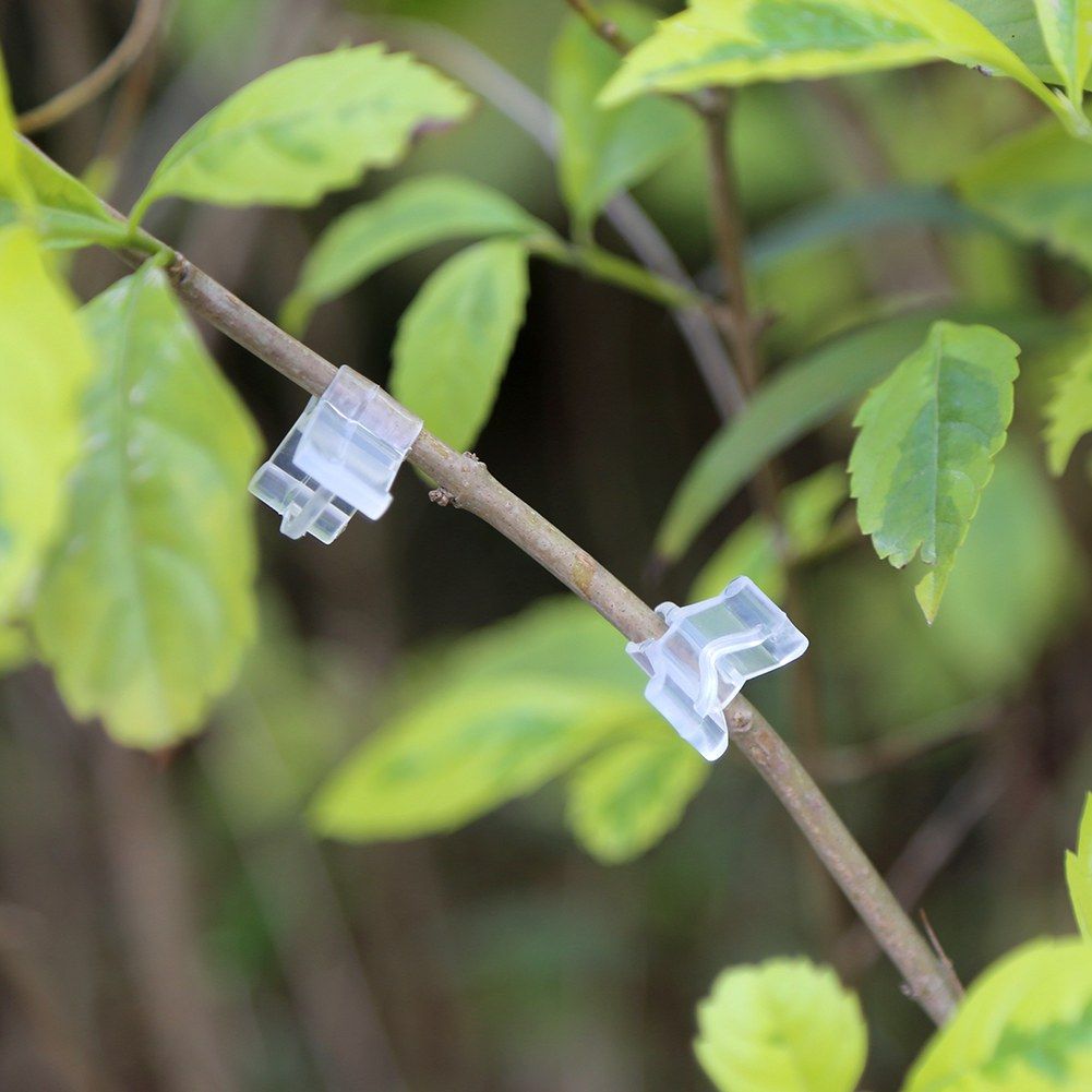 Special grafting clip Tomato seedling grafting clip Eggplant grafting clamp 100pcs