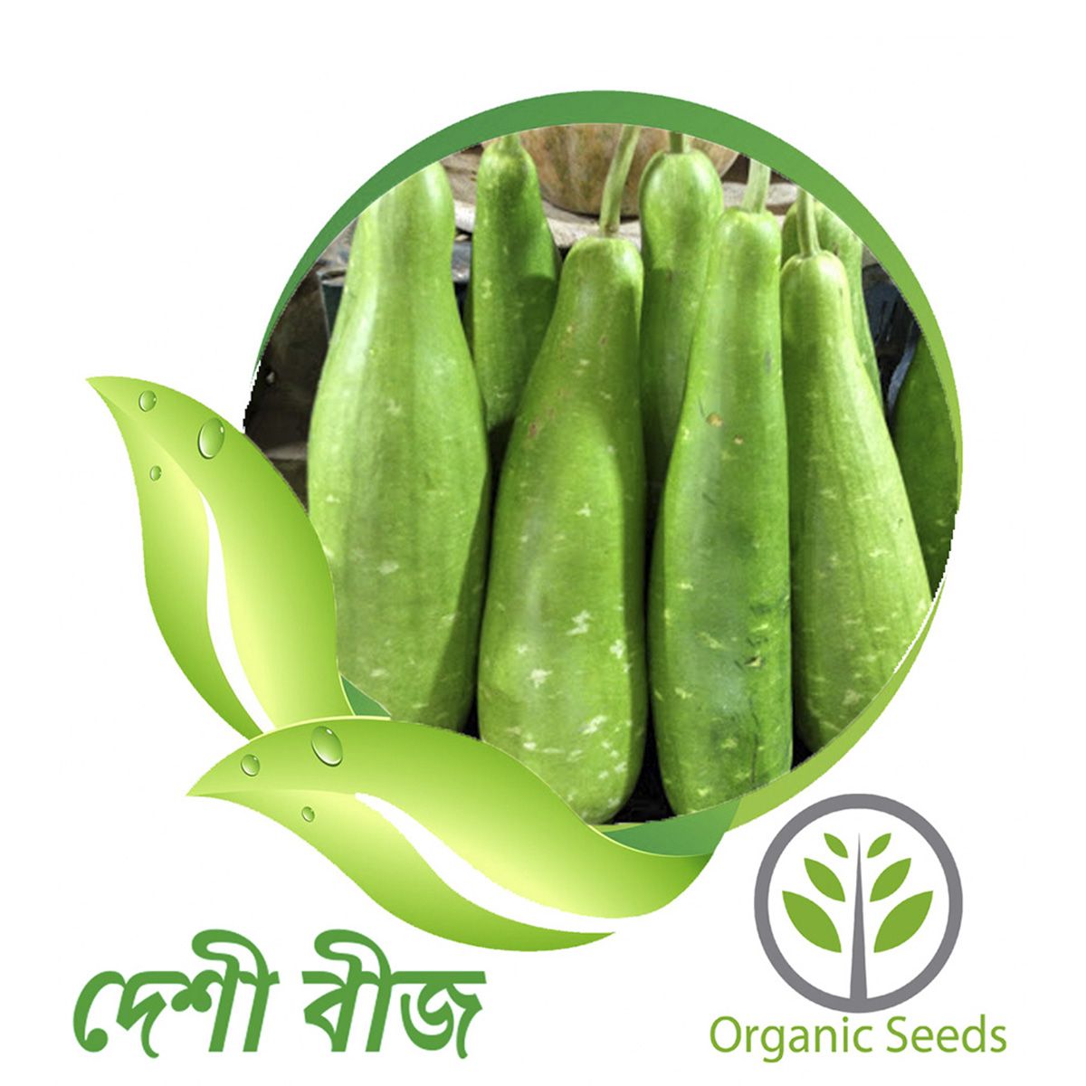 Bottle Gourd Seeds