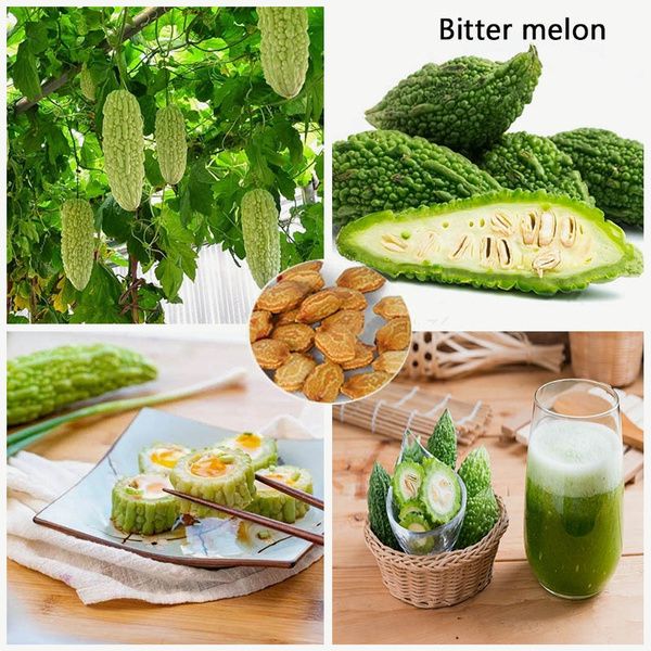 Balsom Pear Seeds- 10 Pieces seeds ইন্টেক প্যাকেট