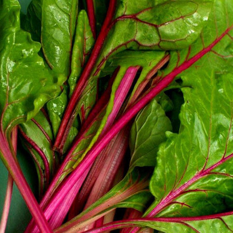 100 Pcs/Pack Rainbow Sugarbeet Seeds Organic Vegetable for Home Garden plant