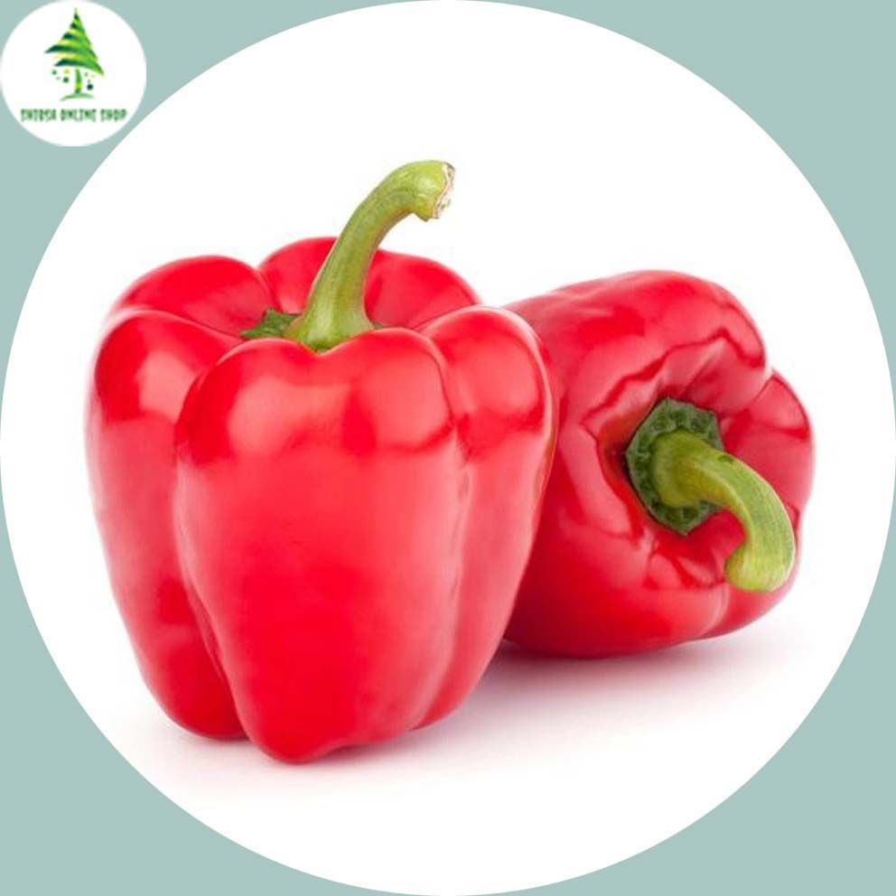 Red Capsicum Seeds  - 20 Pcs Seeds