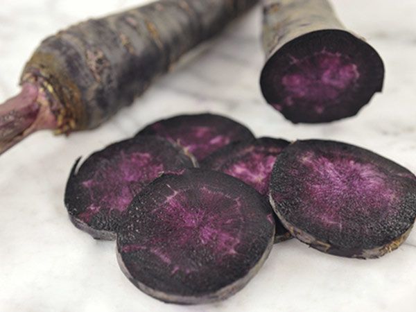 Black Carrot Seeds (কালো গাজর বীজ) - 100 Pcs Seeds