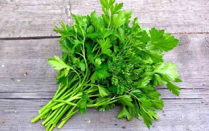 Hybrid Coriander Seeds 0.1 gm Intact Packet All Season