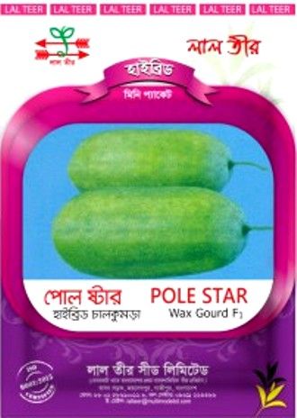 হাইব্রিড চালকুমড়া -ছাদবাগানের জন্য মিনি প্যাক