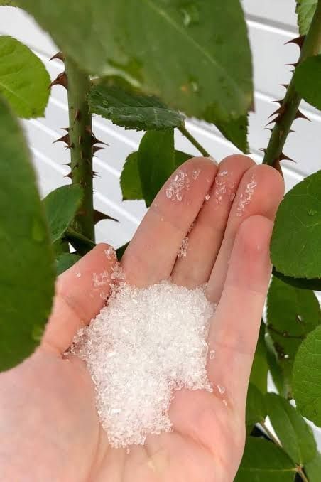 Epsom Salt - 100 gram Pack (এপসম সল্ট)