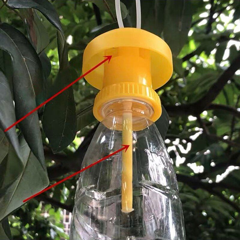 fruit fly attractant 2ml bait orchard mosquito repellent trapping tool liquid beekeeping beehive tool killer 10 pcs（1pcs X Trap cover）