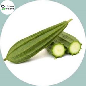 20 Pcs Global Jhinga / Shrimp Seeds (ঝিংগা বীজ)