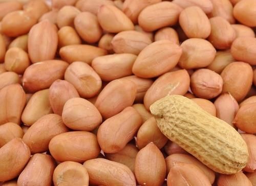 Peanut Biz Indian- 30 Pcs Seeds