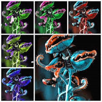 Flytrap Seeds Garden Potted Dionaea- 50Pcs seeds