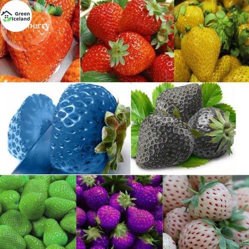 Organic Mix Strawberry Seeds - 30 Pcs Seeds