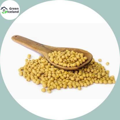 Organic Soybean Tree Seeds (?????? ???) - 30 Pcs Seeds