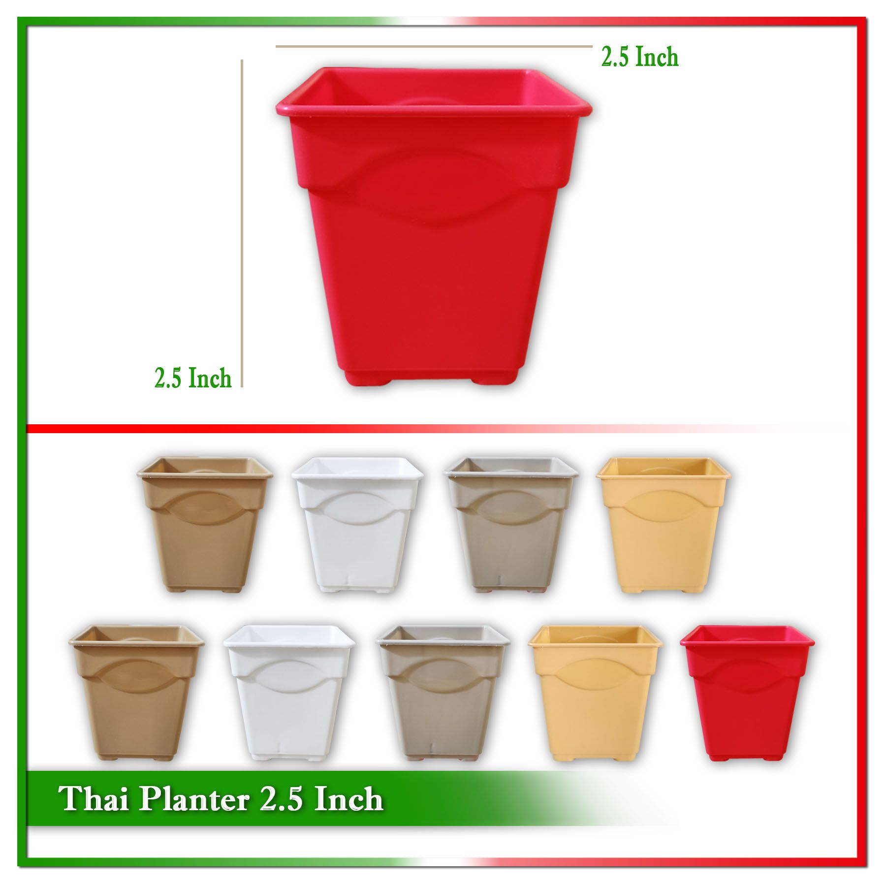 2.5 Inch Thai Planter (Multicolor) - 10 Pcs