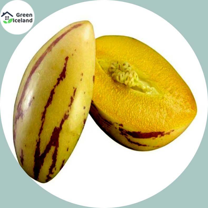 5 Pcs Natural Delicious Mini Sweet Melon Seeds