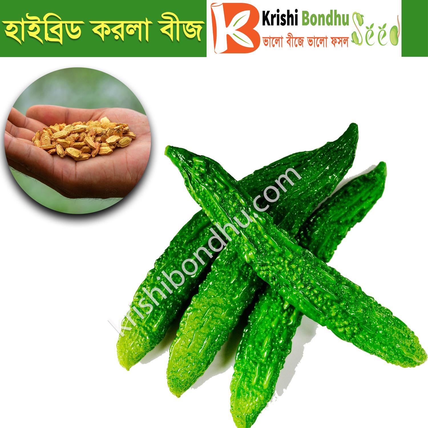 হাইব্রীড করলা বীজ (Hybrid Bitter Gourd) (লম্বা জাতের) ১০ পিচ - Bitter Gourd Seed For Home Garden -  Korola Bij