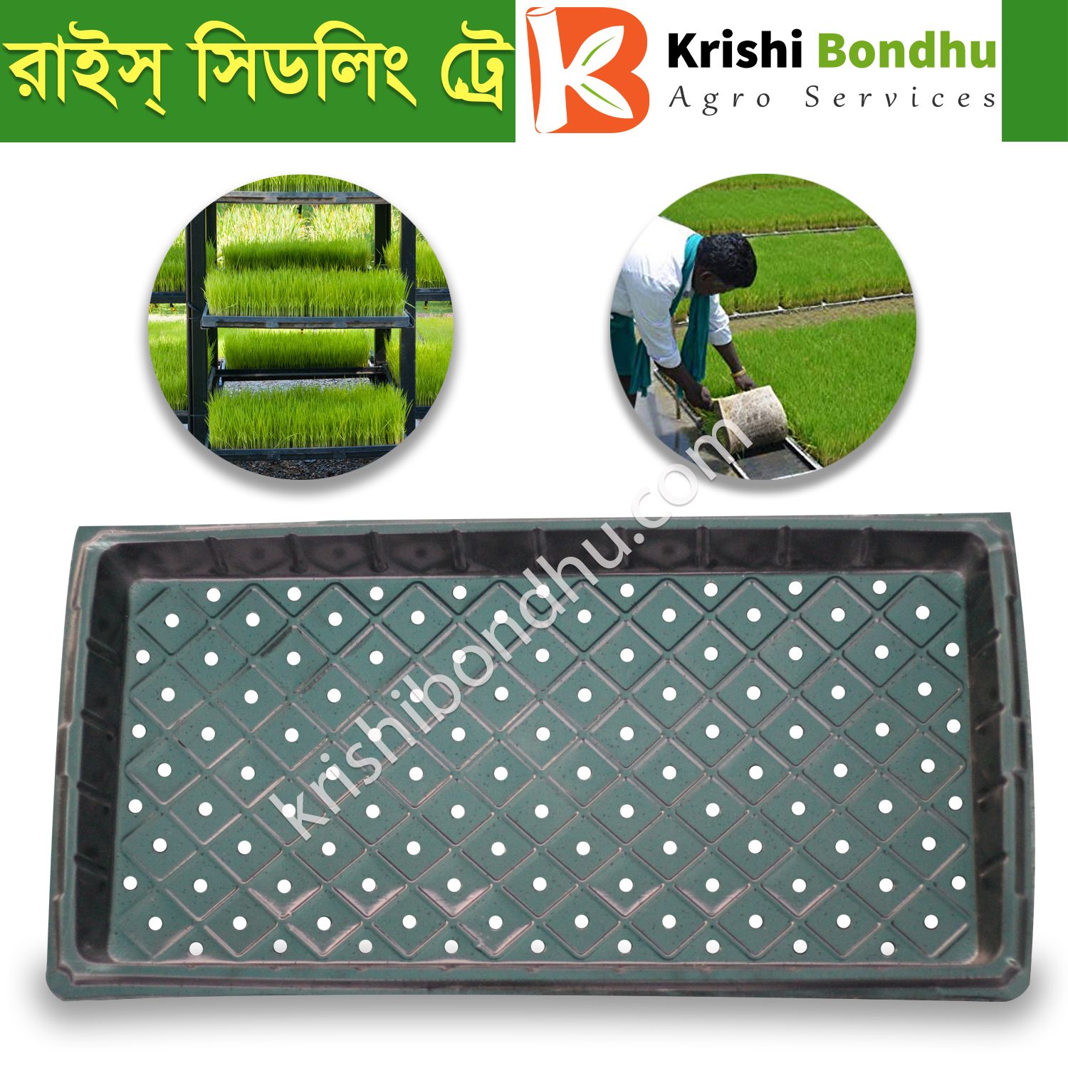 ধানের চারা ও হাইদ্রোপোনিক ট্রে> বাংলাদেশে রাইস চারা ট্রে 2 পিস দাম> রাইস রোপণ বীজ অঙ্কুরোদগম ট্রে> প্যাডি চারা ট্রে সিস্টেম ব্যবহার করে