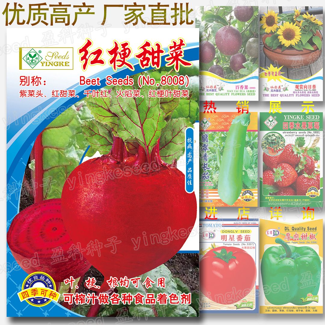 Beet Seeds 1 Packet